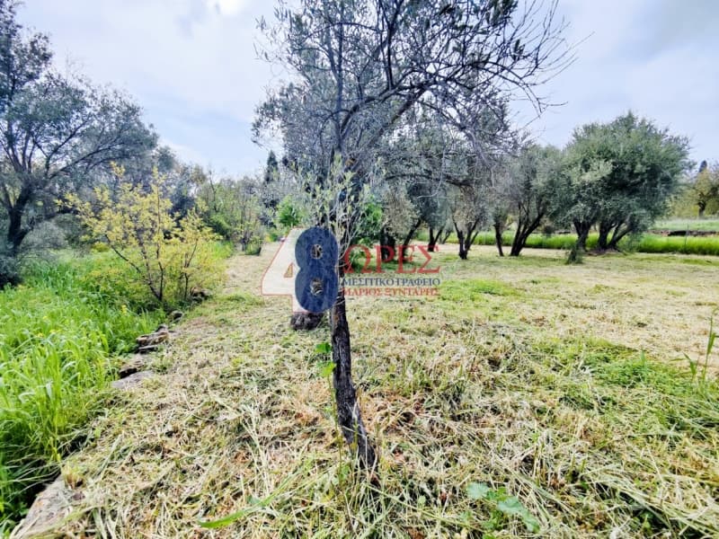 Οικόπεδο στην Άγιος Μηνάς, Χίος — Φωτογραφία 15 από 22
