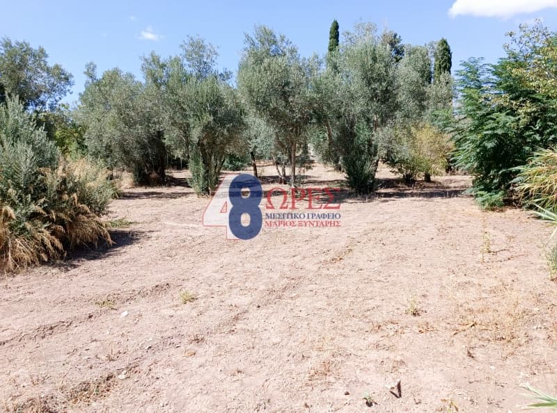 Οικόπεδο στην Άγιος Μηνάς, Χίος — Φωτογραφία 3 από 22