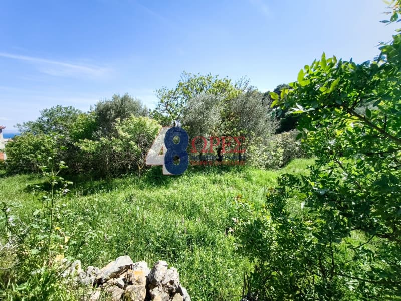 Οικόπεδο στην Πόλη Χίου, Χίος — Φωτογραφία 16 από 19