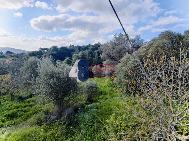 Οικόπεδο στην Πόλη Χίου, Χίος — Φωτογραφία 9 από 19