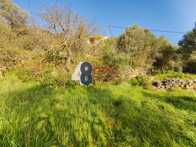 Οικόπεδο στην Πόλη Χίου, Χίος — Φωτογραφία 3 από 19