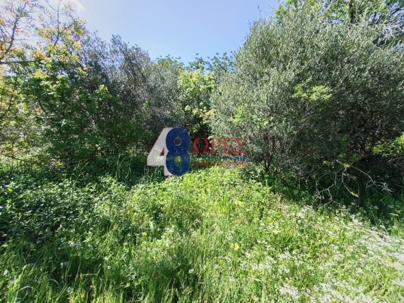 Οικόπεδο στην Πόλη Χίου, Χίος — Φωτογραφία 15 από 19