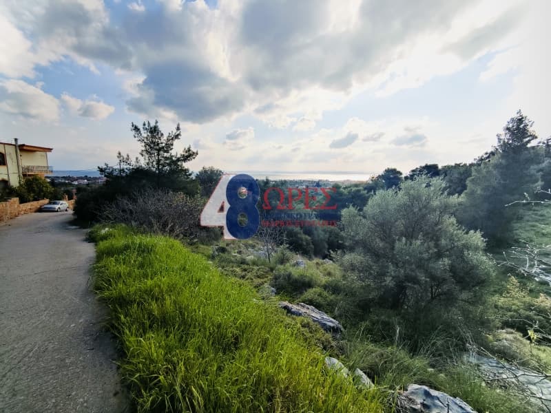 Οικόπεδο στην Πόλη Χίου, Χίος — Φωτογραφία 12 από 19