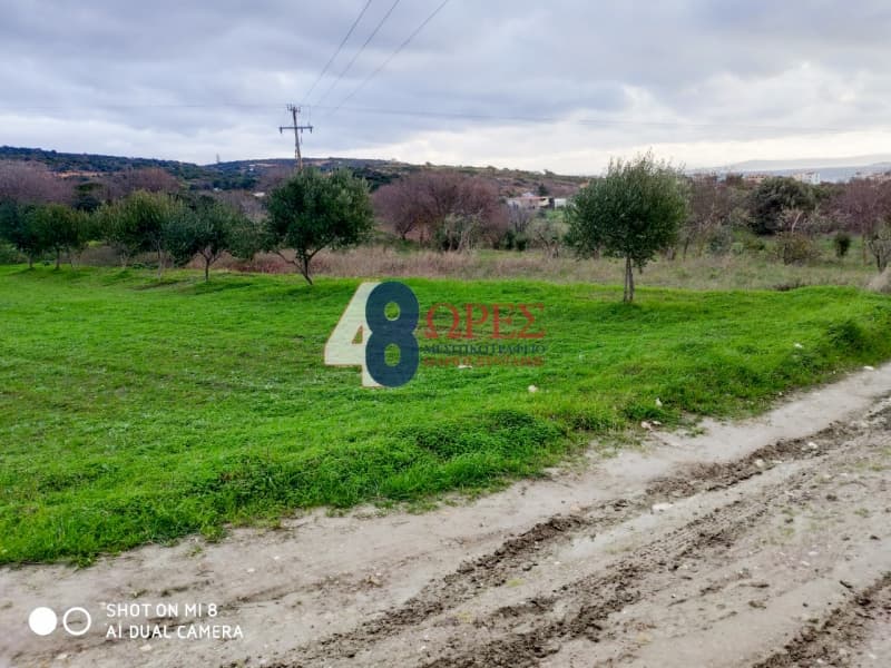 Αγροτεμάχιο στην Άγιος Μηνάς, Χίος — Φωτογραφία 2 από 4