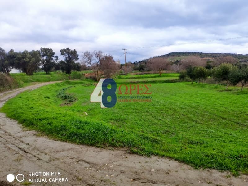 Αγροτεμάχιο στην Άγιος Μηνάς, Χίος — Φωτογραφία 4 από 4