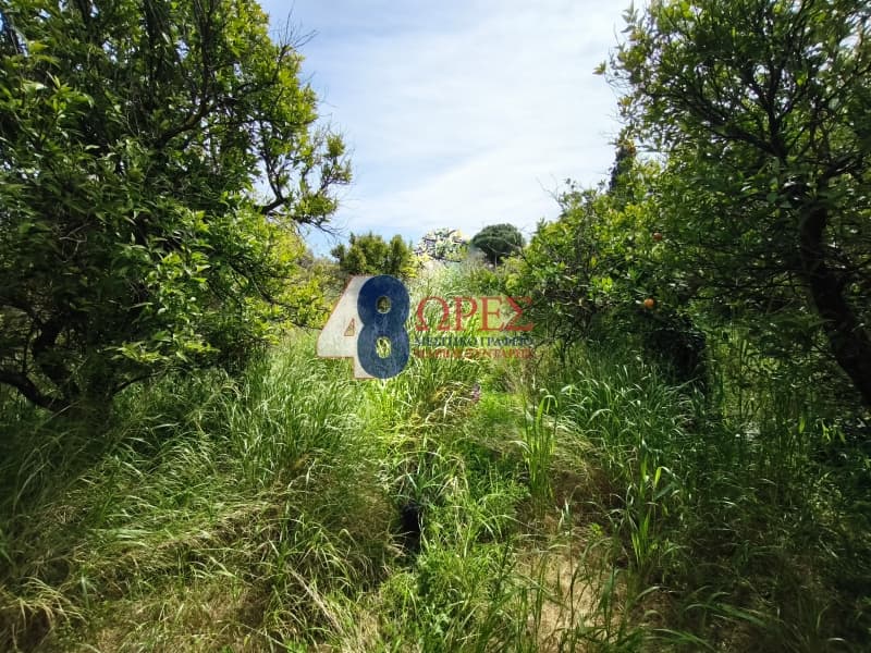 Οικόπεδο στην Πόλη Χίου, Χίος — Φωτογραφία 9 από 15