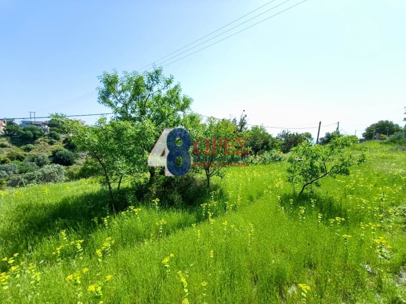 Οικόπεδο στην Πόλη Χίου, Χίος — Φωτογραφία 13 από 19