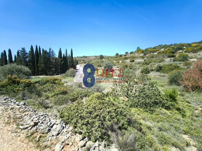 Οικόπεδο στην Μαστιχοχώρια, Χίος — Φωτογραφία 11 από 12