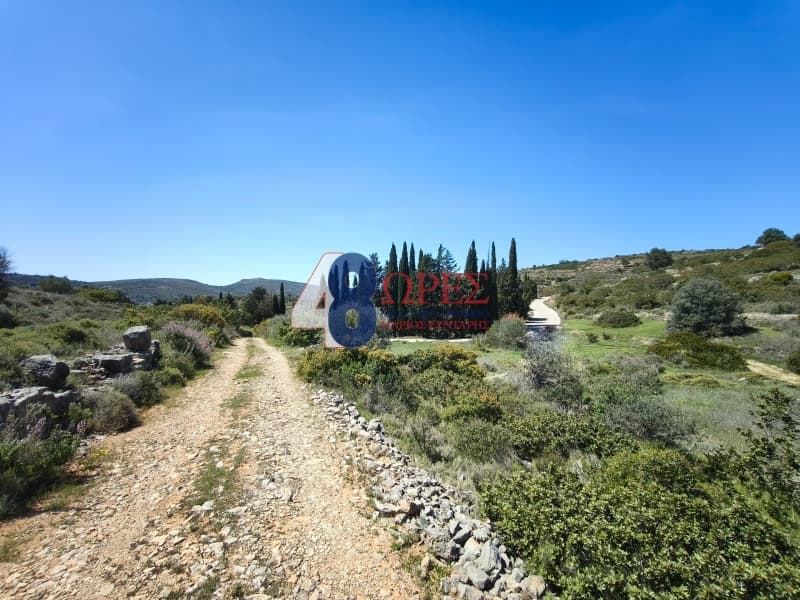 Οικόπεδο στην Μαστιχοχώρια, Χίος — Φωτογραφία 12 από 12