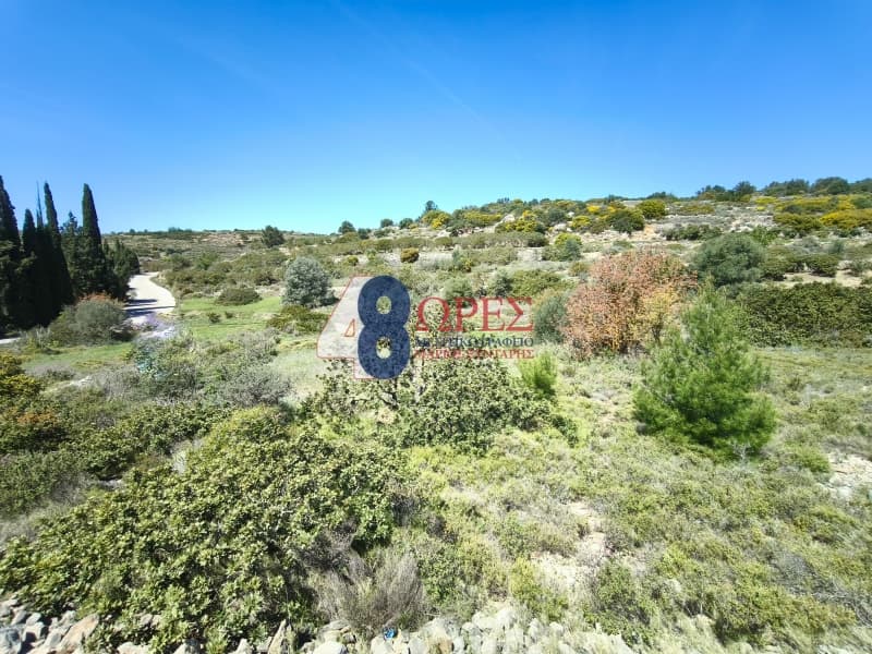 Οικόπεδο στην Μαστιχοχώρια, Χίος — Φωτογραφία 10 από 12