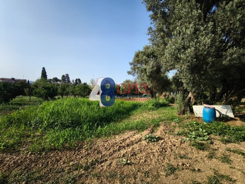 Οικόπεδο στην Άγιος Μηνάς, Χίος — Φωτογραφία 26 από 26