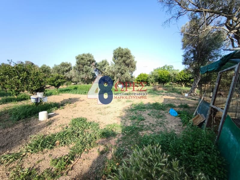 Οικόπεδο στην Άγιος Μηνάς, Χίος — Φωτογραφία 22 από 26
