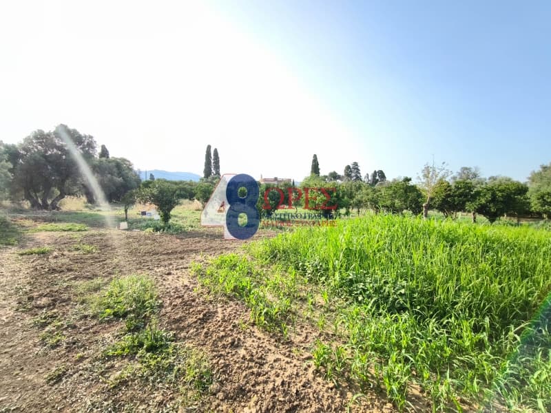 Οικόπεδο στην Άγιος Μηνάς, Χίος — Φωτογραφία 24 από 26