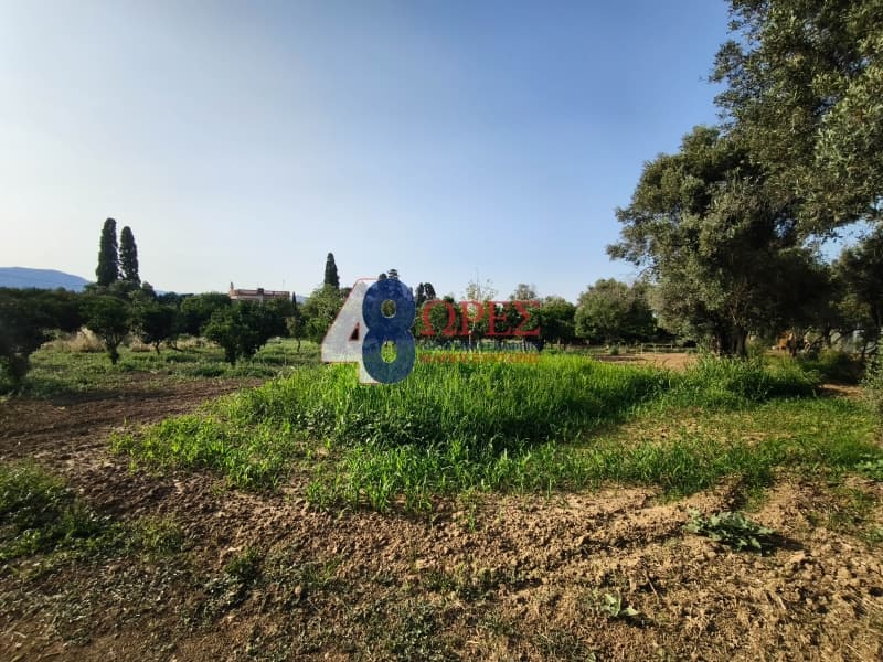 Οικόπεδο στην Άγιος Μηνάς, Χίος — Φωτογραφία 25 από 26