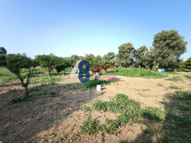 Οικόπεδο στην Άγιος Μηνάς, Χίος — Φωτογραφία 23 από 26
