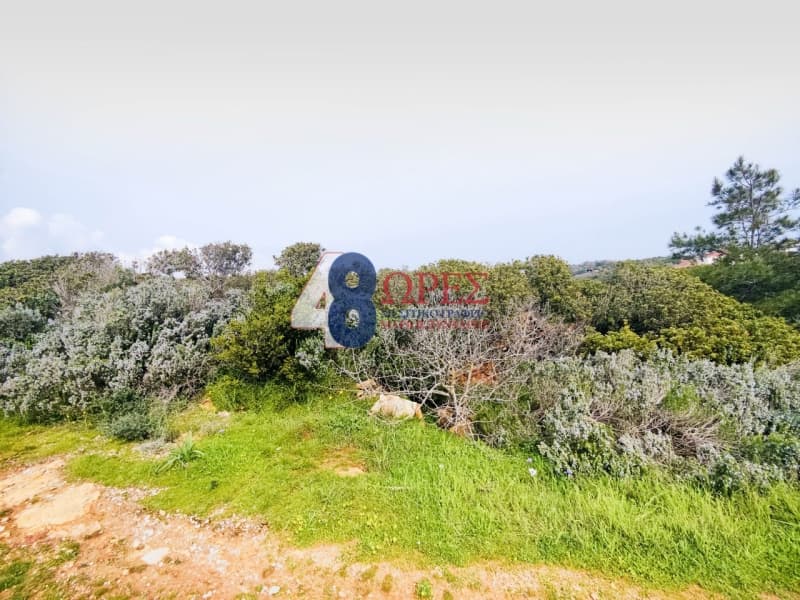Οικόπεδο στην Άγιος Μηνάς, Χίος — Φωτογραφία 2 από 21