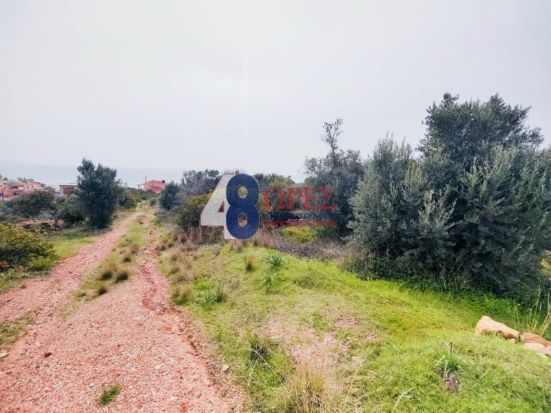 Οικόπεδο στην Άγιος Μηνάς, Χίος — Φωτογραφία 16 από 21