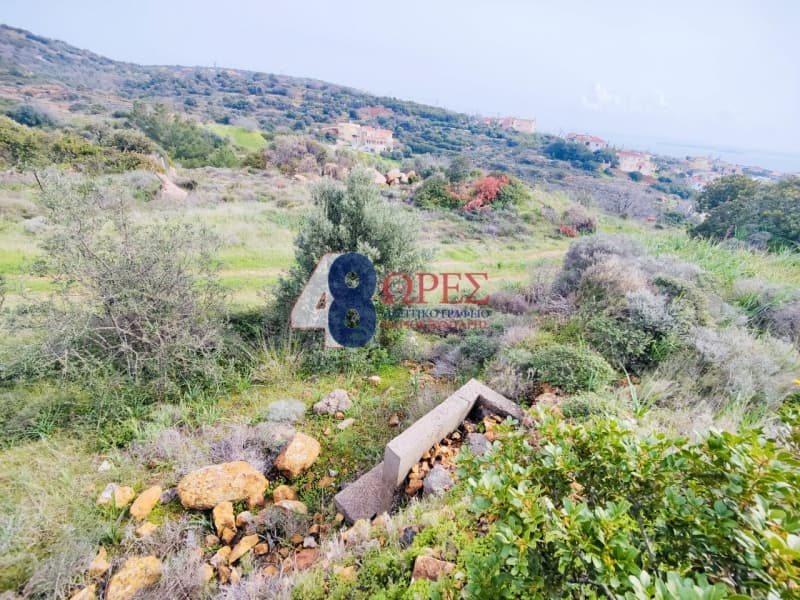 Οικόπεδο στην Άγιος Μηνάς, Χίος — Φωτογραφία 8 από 21