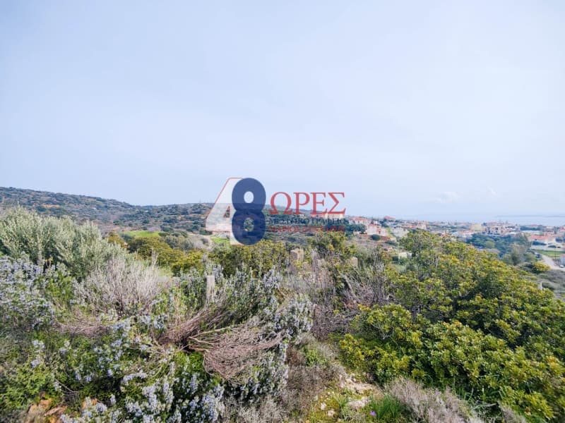 Οικόπεδο στην Άγιος Μηνάς, Χίος — Φωτογραφία 5 από 21