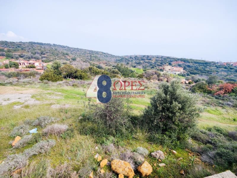 Οικόπεδο στην Άγιος Μηνάς, Χίος — Φωτογραφία 9 από 21