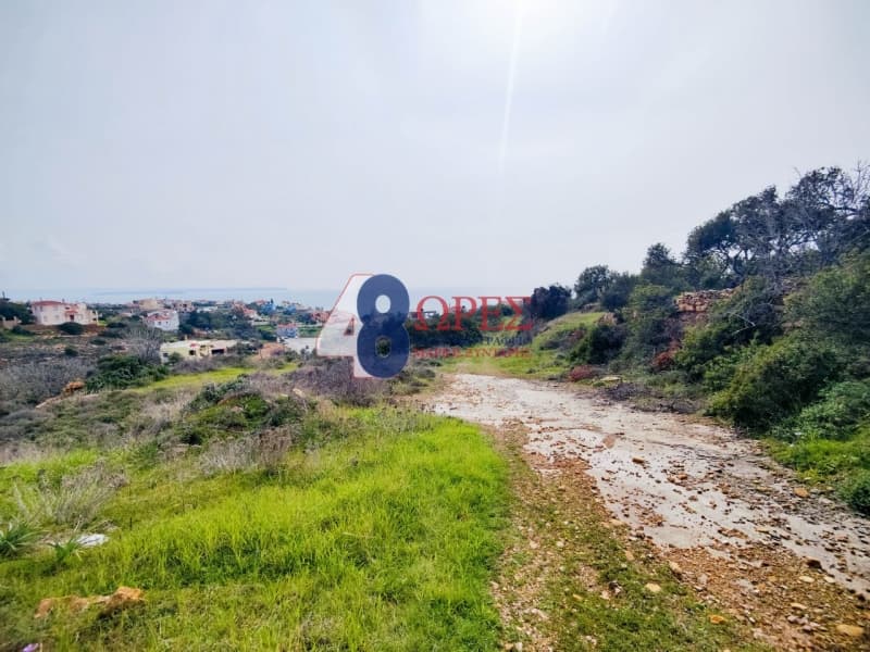 Οικόπεδο στην Άγιος Μηνάς, Χίος — Φωτογραφία 14 από 21