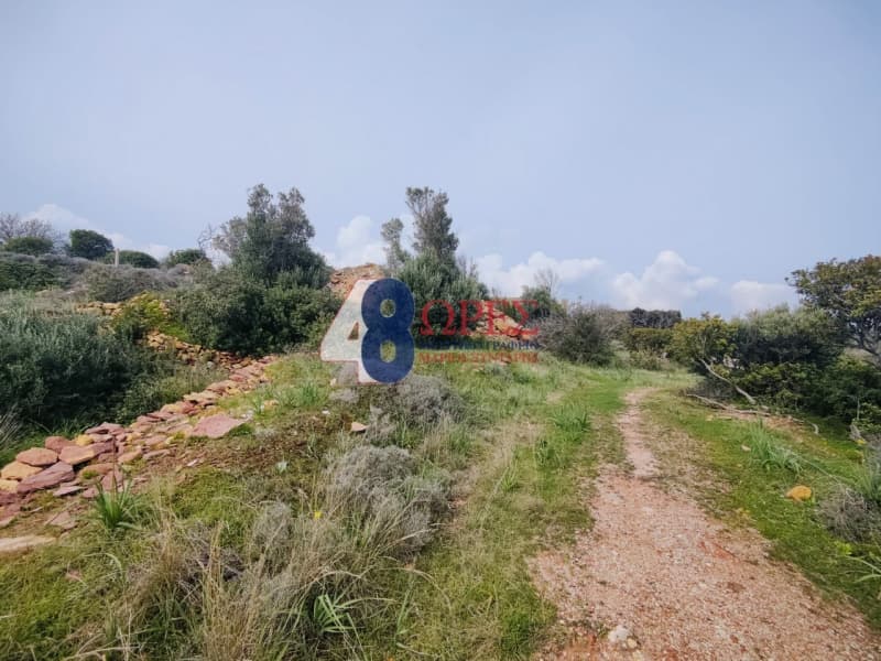 Οικόπεδο στην Άγιος Μηνάς, Χίος — Φωτογραφία 18 από 21