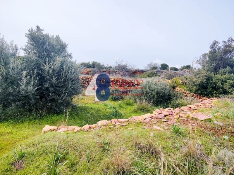 Οικόπεδο στην Άγιος Μηνάς, Χίος — Φωτογραφία 17 από 21