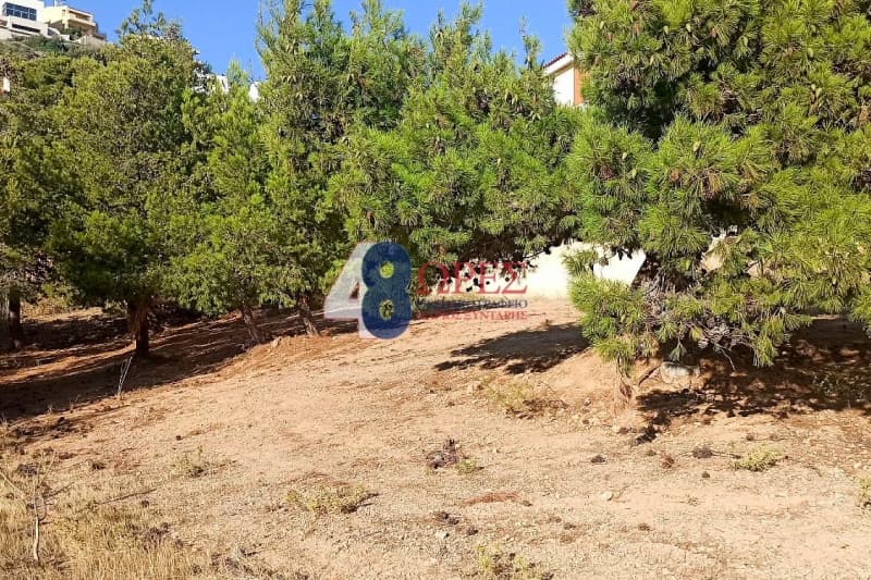 Οικόπεδο στην Σαρωνίδα, Σαρωνίδα — Φωτογραφία 4 από 5