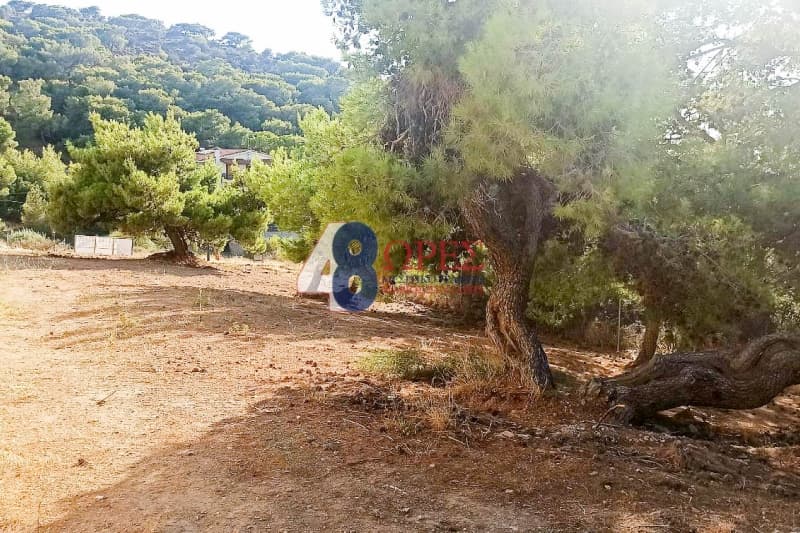 Οικόπεδο στην Σαρωνίδα, Σαρωνίδα — Φωτογραφία 3 από 5