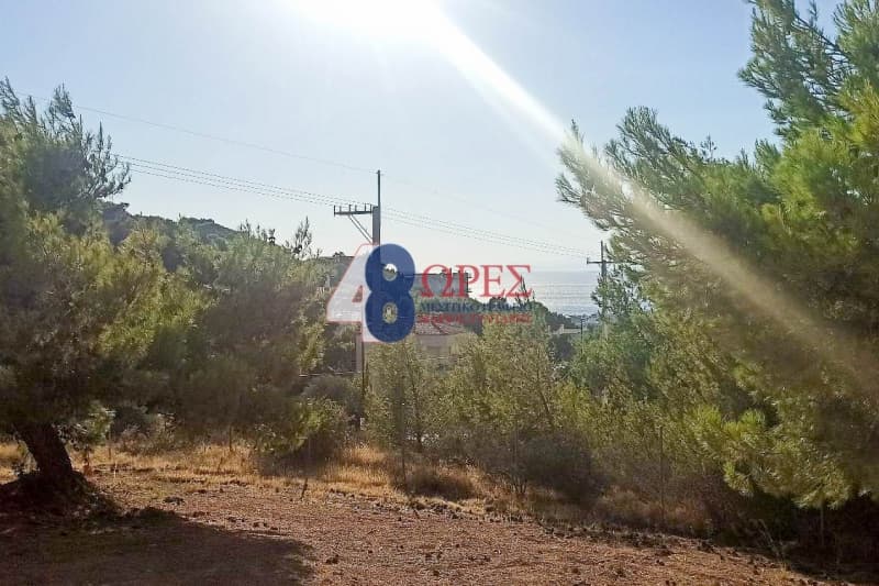 Οικόπεδο στην Σαρωνίδα, Σαρωνίδα — Φωτογραφία 2 από 5