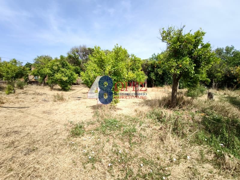 Οικόπεδο στην Άγιος Μηνάς, Χίος — Φωτογραφία 8 από 15