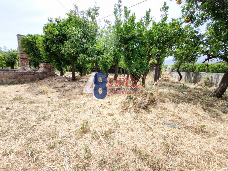 Οικόπεδο στην Άγιος Μηνάς, Χίος — Φωτογραφία 4 από 15