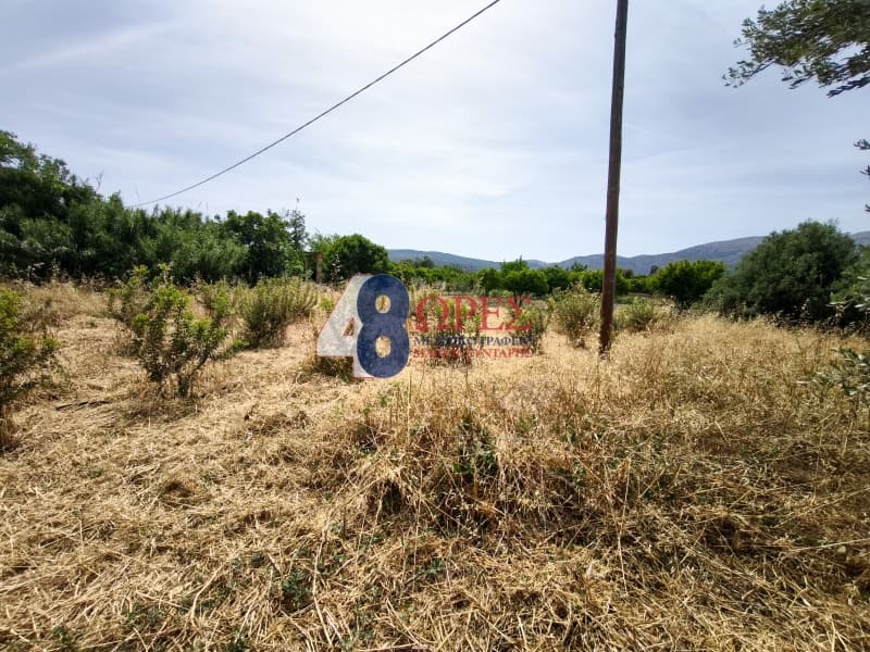 Οικόπεδο στην Άγιος Μηνάς, Χίος — Φωτογραφία 9 από 15