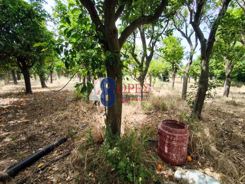 Οικόπεδο στην Άγιος Μηνάς, Χίος — Φωτογραφία 14 από 15