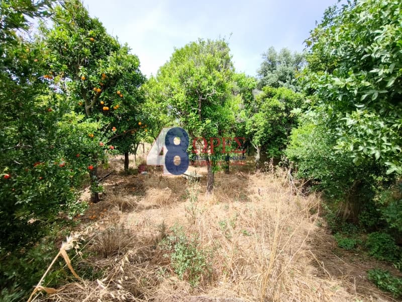 Οικόπεδο στην Άγιος Μηνάς, Χίος — Φωτογραφία 12 από 15