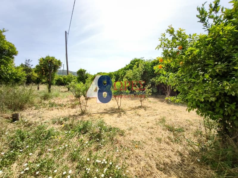Οικόπεδο στην Άγιος Μηνάς, Χίος — Φωτογραφία 5 από 15