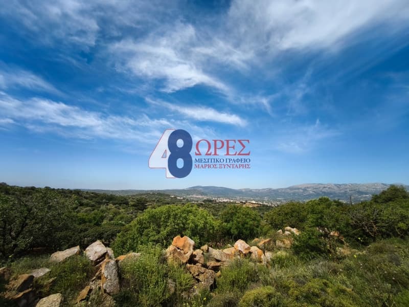 Αγροτεμάχιο στην Άγιος Μηνάς, Χίος — Φωτογραφία 5 από 6