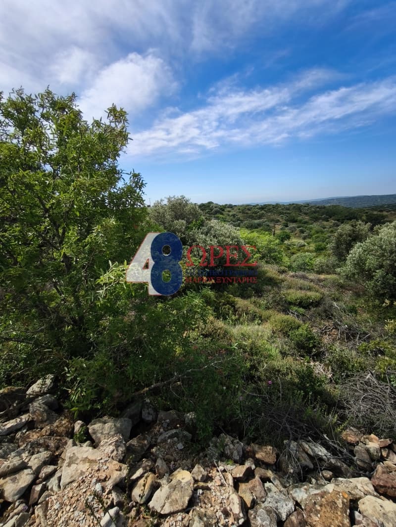 Αγροτεμάχιο στην Άγιος Μηνάς, Χίος — Φωτογραφία 6 από 6