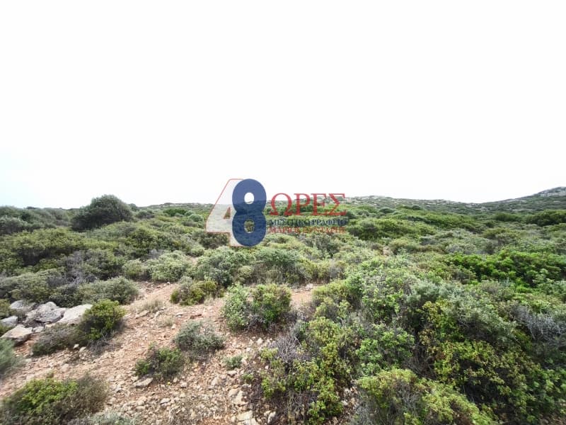 Οικόπεδο στην Μαστιχοχώρια, Χίος — Φωτογραφία 9 από 9