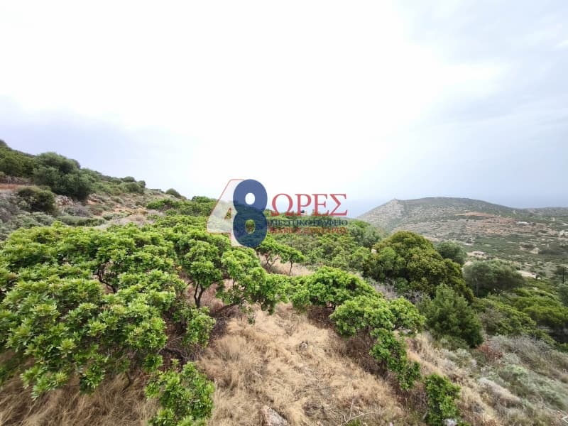 Οικόπεδο στην Μαστιχοχώρια, Χίος — Φωτογραφία 1 από 9