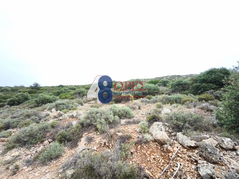 Οικόπεδο στην Μαστιχοχώρια, Χίος — Φωτογραφία 3 από 9