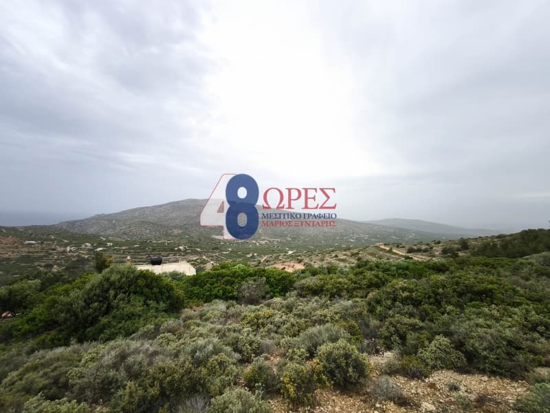 Οικόπεδο στην Μαστιχοχώρια, Χίος — Φωτογραφία 8 από 9