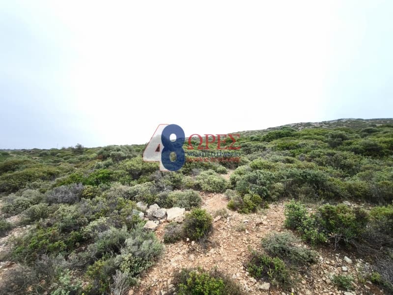 Οικόπεδο στην Μαστιχοχώρια, Χίος — Φωτογραφία 5 από 9