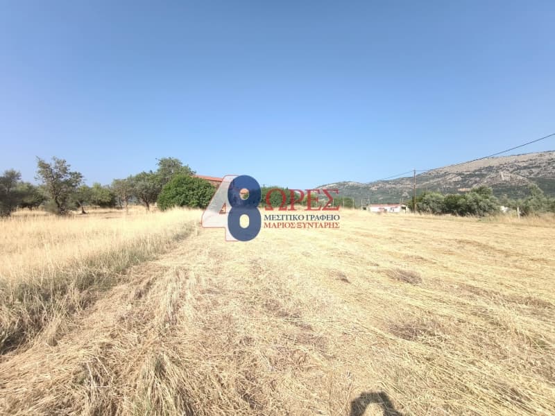 Οικόπεδο στην Καμποχώρια, Χίος — Φωτογραφία 9 από 20