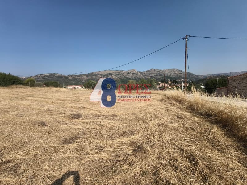 Οικόπεδο στην Καμποχώρια, Χίος — Φωτογραφία 11 από 20