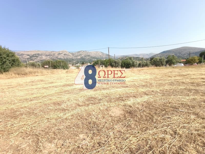 Οικόπεδο στην Καμποχώρια, Χίος — Φωτογραφία 15 από 20