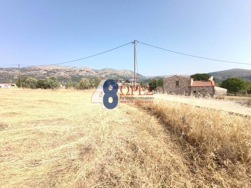 Οικόπεδο στην Καμποχώρια, Χίος — Φωτογραφία 12 από 20