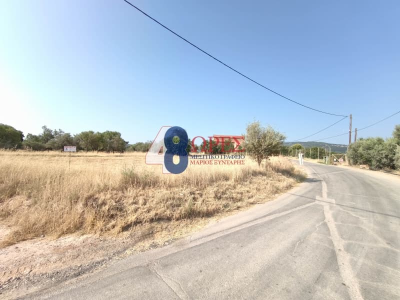 Οικόπεδο στην Καμποχώρια, Χίος — Φωτογραφία 4 από 20