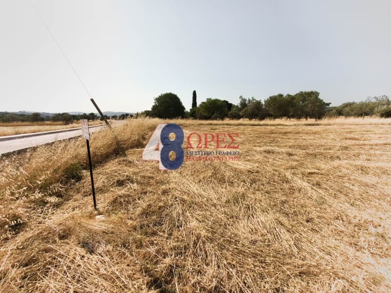 Οικόπεδο στην Καμποχώρια, Χίος — Φωτογραφία 8 από 20