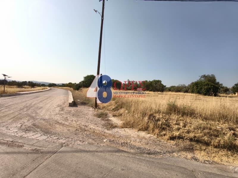 Οικόπεδο στην Καμποχώρια, Χίος — Φωτογραφία 1 από 20